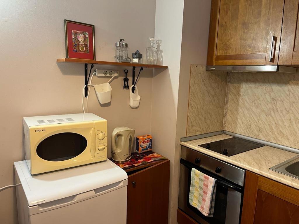 Ski Zone At Gondola, Perfect One Bdrm, Fast Wifi, Netflix, Quiet, Warm Bansko Dış mekan fotoğraf